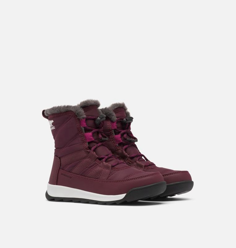 Kids Snow Boots Purple - Sorel Youth Whitney™ II Short Lace - 093-JPNBGH